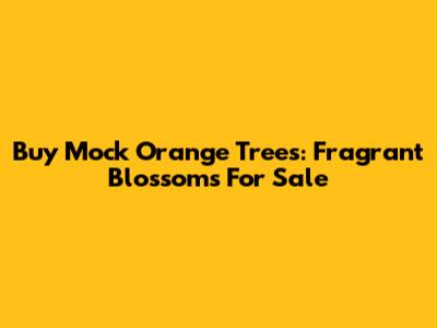 Buy Mock Orange Trees: Fragrant Blossoms For Sale