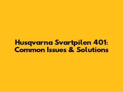 Husqvarna Svartpilen 401: Common Issues & Solutions