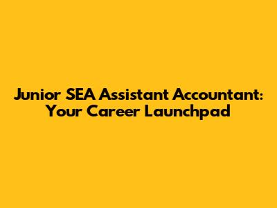 Junior SEA Assistant Accountant: Your Career Launchpad