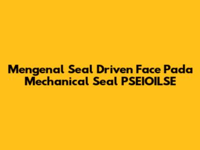 Mengenal Seal Driven Face Pada Mechanical Seal PSEIOILSE