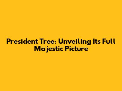 President Tree: Unveiling Its Full Majestic Picture